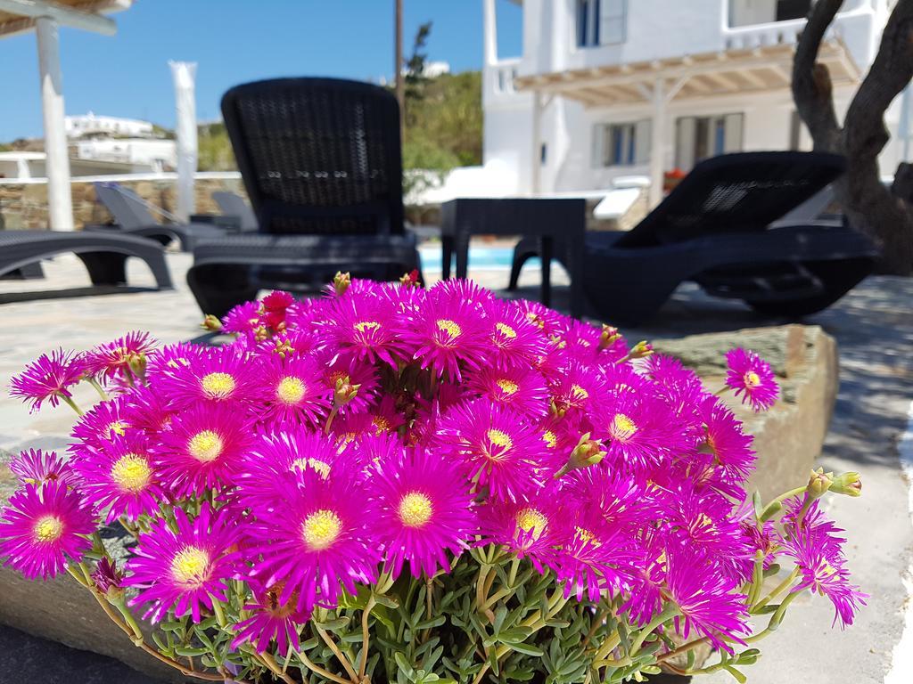 Villa Varnali Small Boutique Mykonos Town Kültér fotó