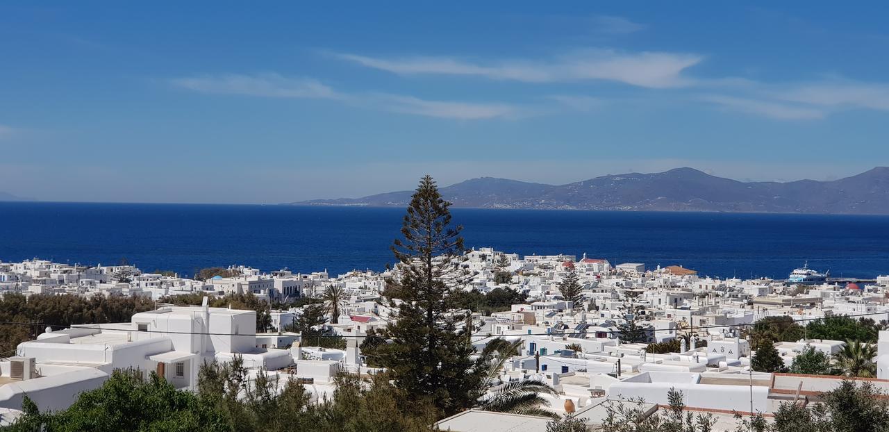 Villa Varnali Small Boutique Mykonos Town Kültér fotó